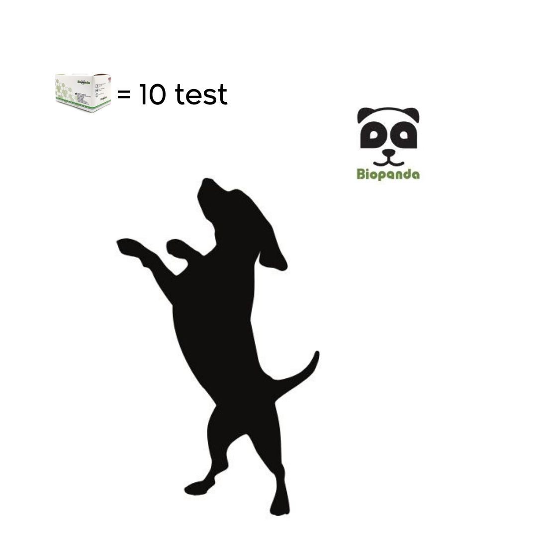 PARVO VIRUS CANINO (CPV Ag)